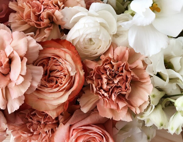 Who to define wishes, how to make my dreams come true, how to find my destiney desteny; What shall I do with my life; What is my determination