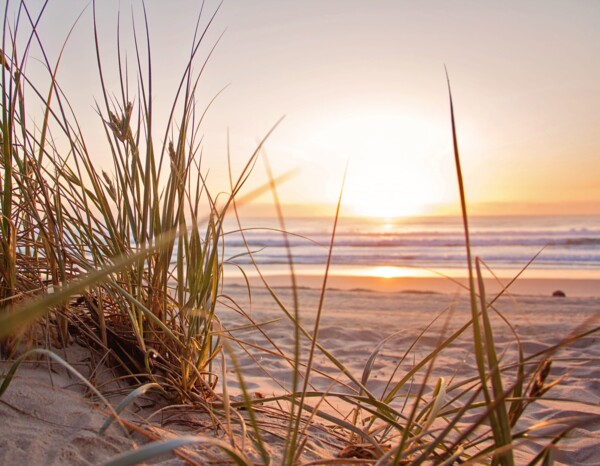 What is going on with me? I freak out, what can I do?